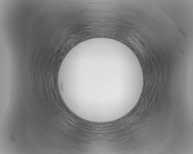 X0000116120229200911230937