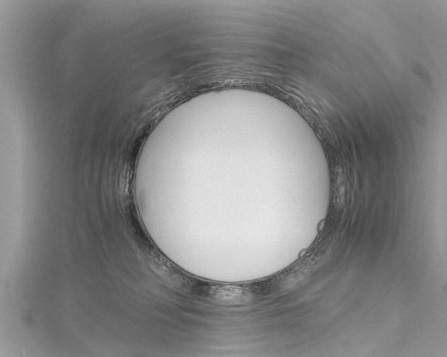 X0000116120230200911230937