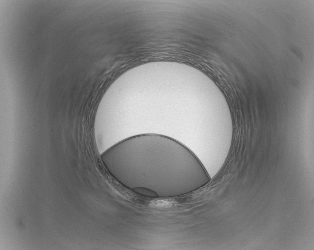 X0000116120231200911230937