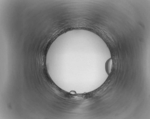 X0000116120232200911230937