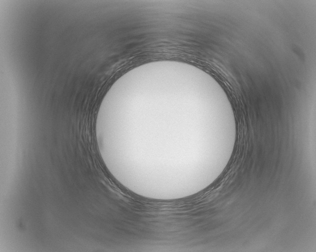 X0000116120233200911230937