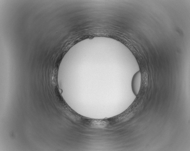 X0000116120234200911230937