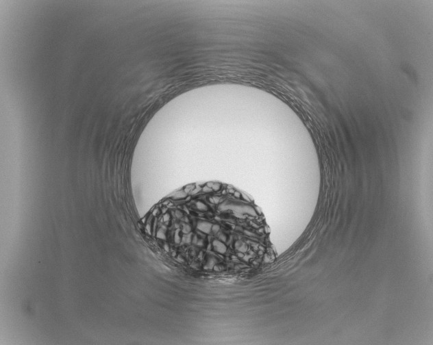 X0000116120235200911230937