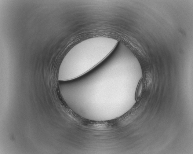 X0000116120236200911230937