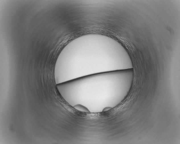 X0000116120240200911230937