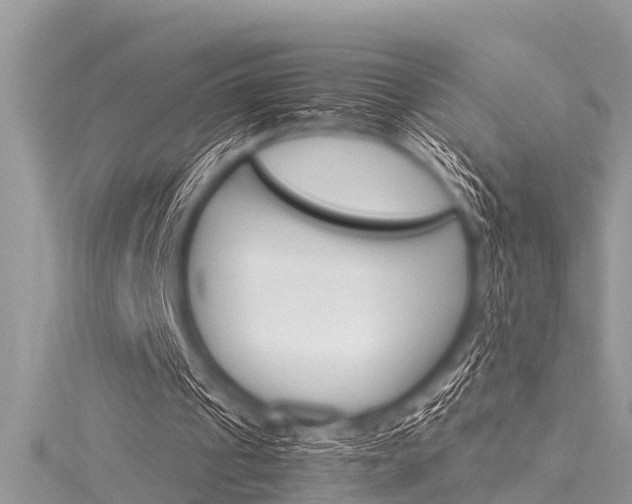 X0000116120241200911230936