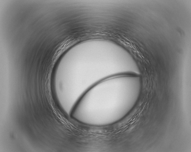 X0000116120242200911230936