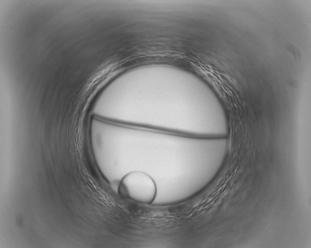 X0000116120243200911230936