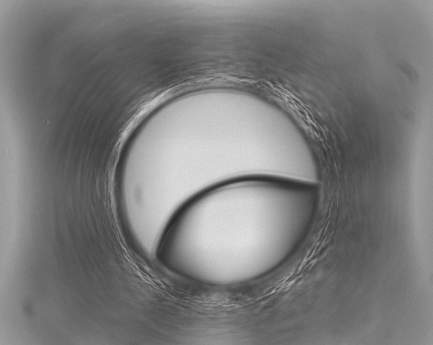 X0000116120244200911230936