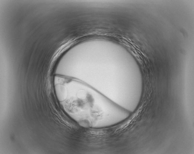 X0000116120245200911230936