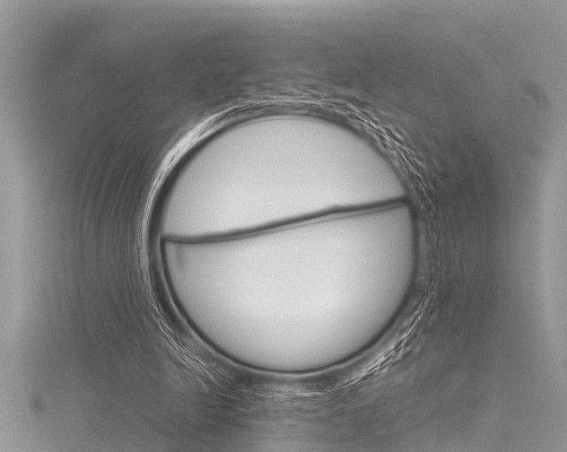 X0000116120246200911230936