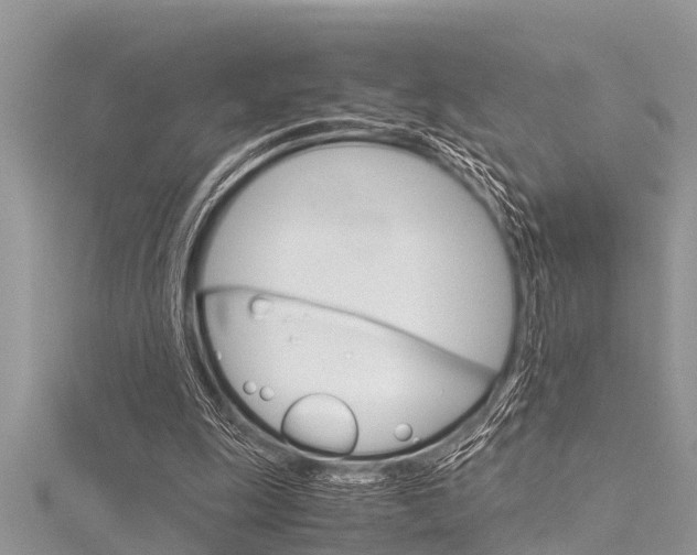 X0000116120247200911230936