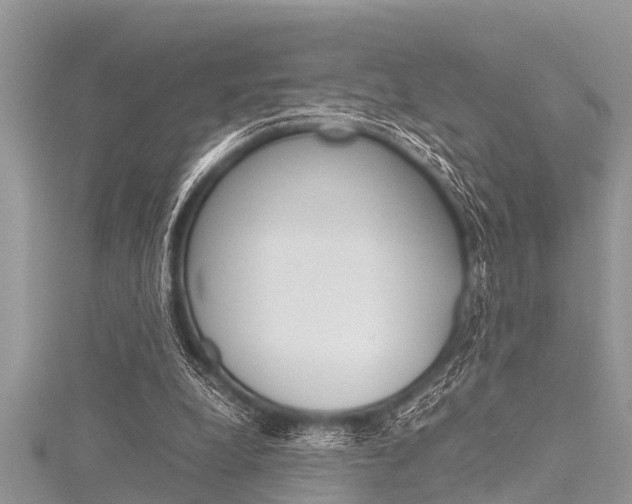 X0000116120248200911230936