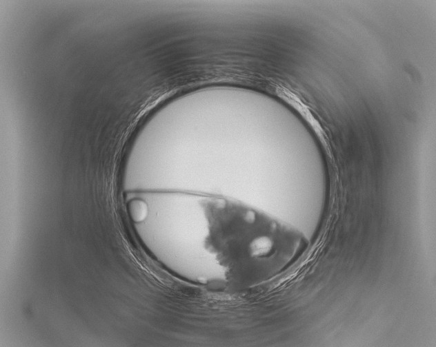 X0000116120249200911230936