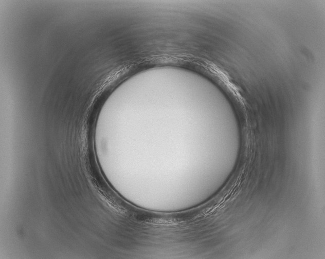 X0000116120250200911230936