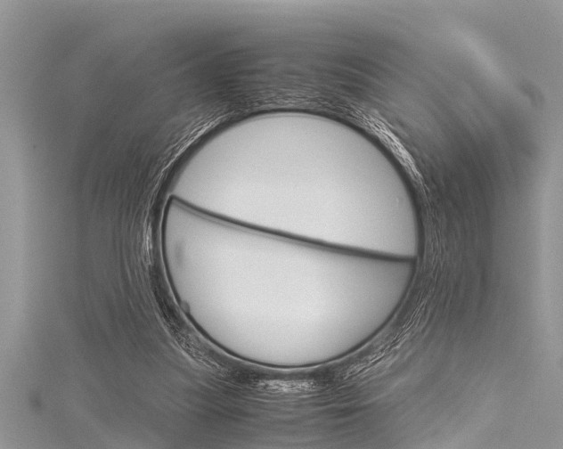 X0000116120251200911230937