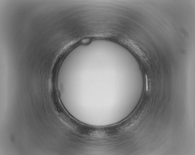 X0000116120252200911230937