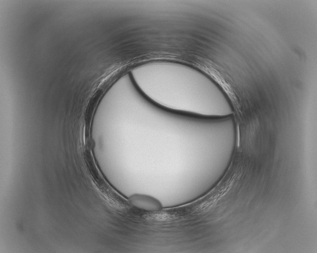 X0000116120253200911230937