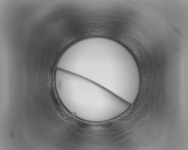 X0000116120255200911230937