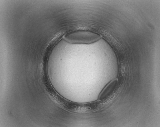 X0000116120256200911230937