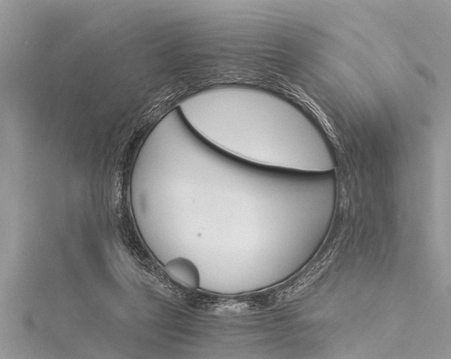 X0000116120257200911230937