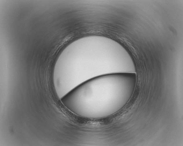 X0000116120260200911230937