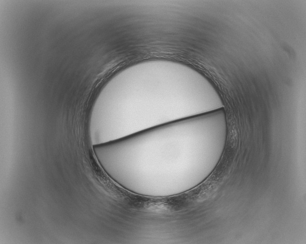 X0000116120262200911230937