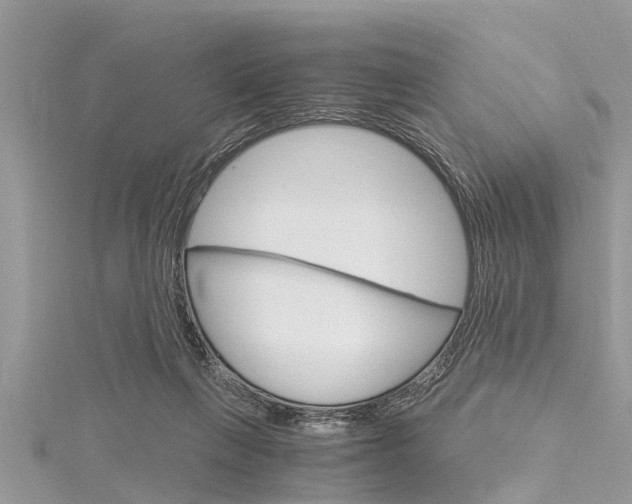 X0000116120263200911230937