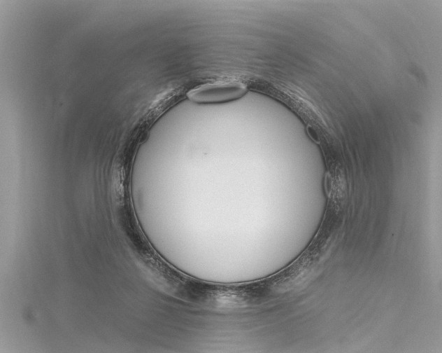 X0000116120264200911230937