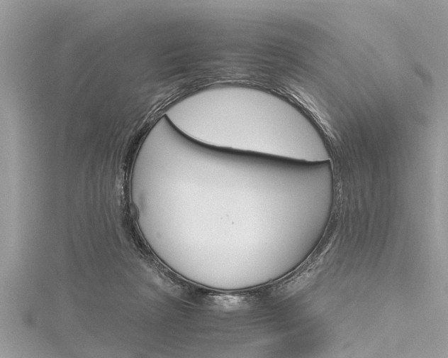 X0000116120265200911230937