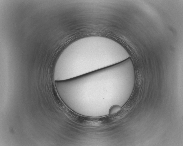 X0000116120266200911230937