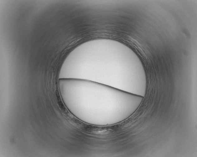 X0000116120267200911230937