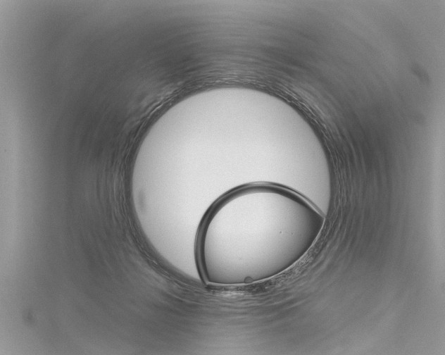 X0000116120268200911230937