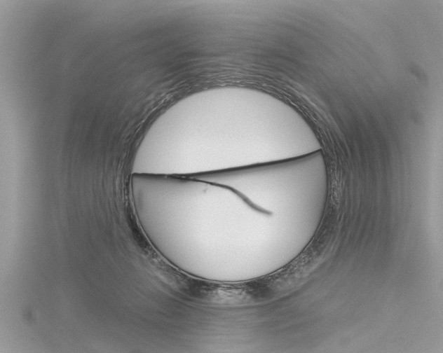 X0000116120270200911230937