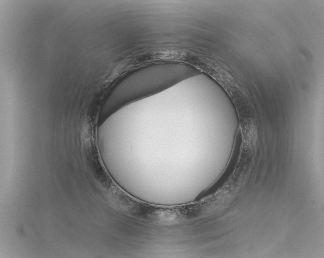 X0000116120272200911230937