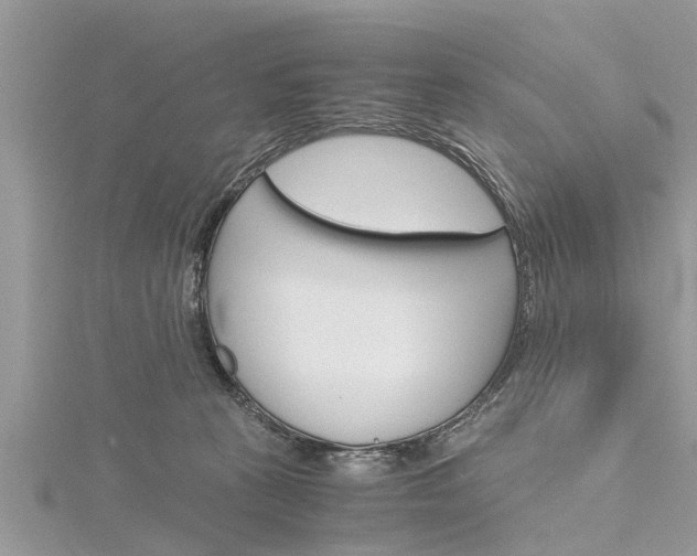 X0000116120273200911230937