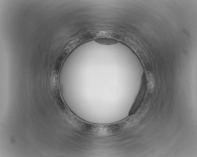 X0000116120276200911230937