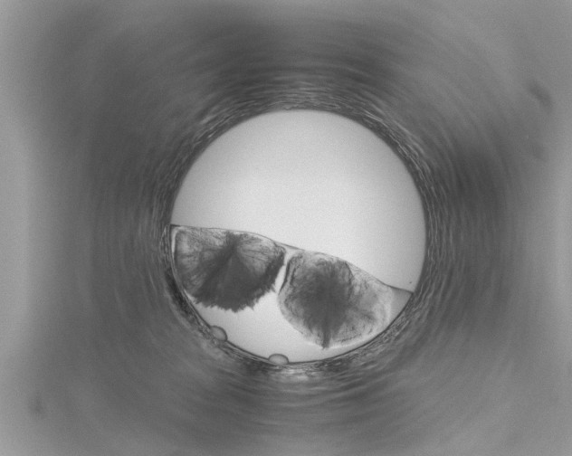 X0000116120277200911230937