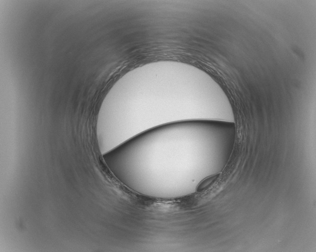 X0000116120280200911230937