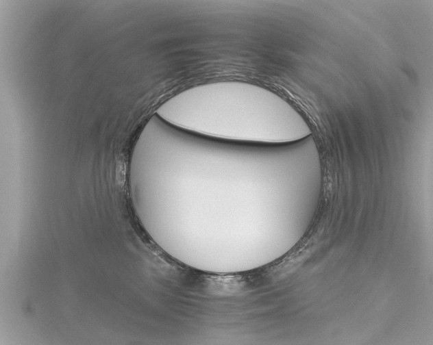 X0000116120281200911230937