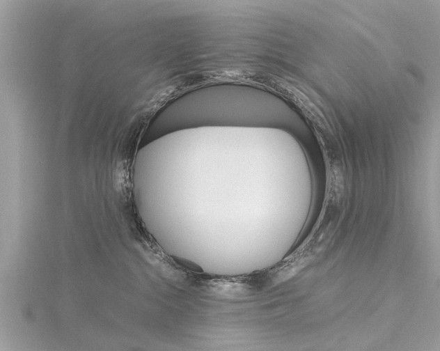 X0000116120284200911230937