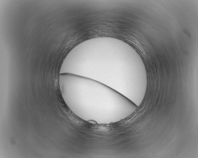 X0000116120285200911230937