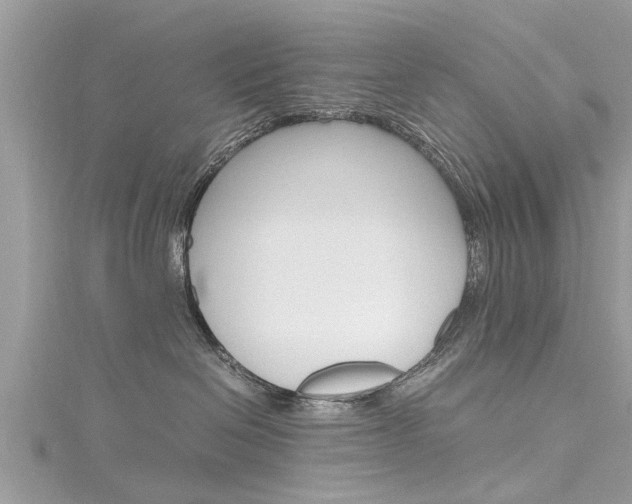 X0000116120286200911230937