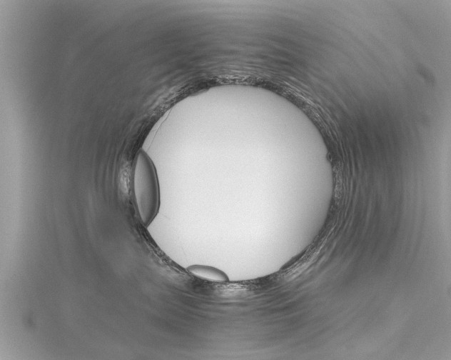 X0000116120287200911230937