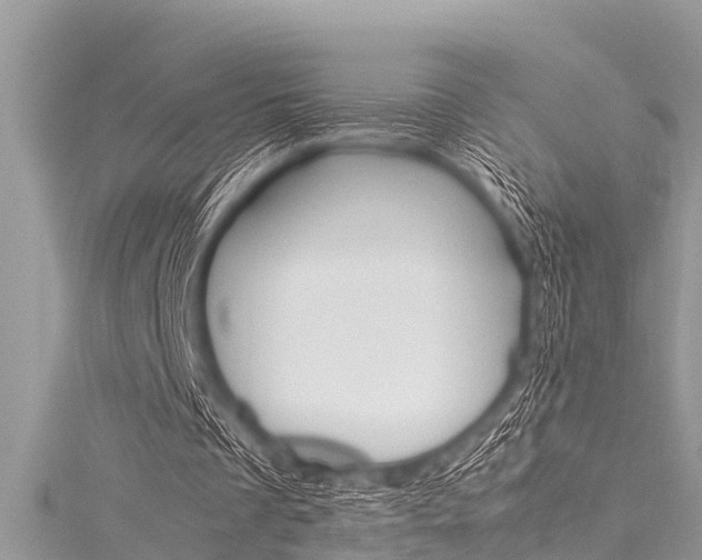 X0000116120289200911230936