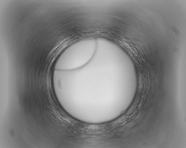 X0000116120290200911230936