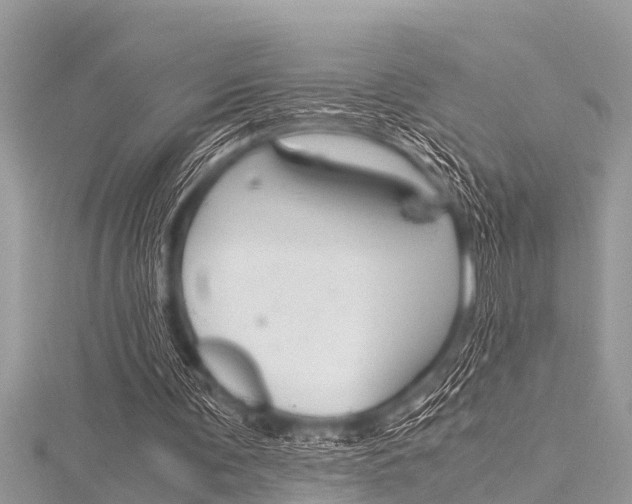 X0000116120291200911230936