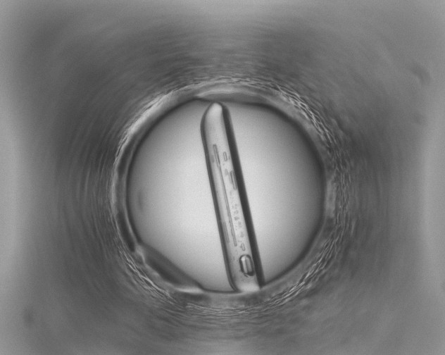 X0000116120292200911230936