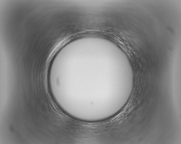 X0000116120293200911230936