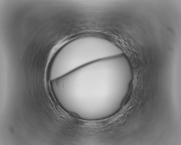 X0000116120294200911230936